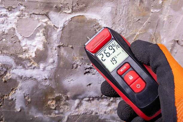 Mold Removal and Inspection in Miami, OK