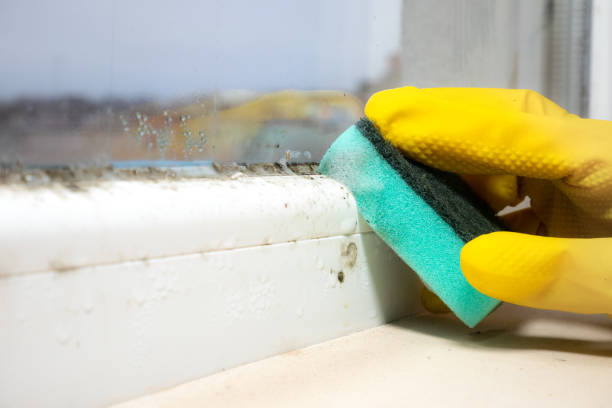 Water Damage Restoration in Miami, OK