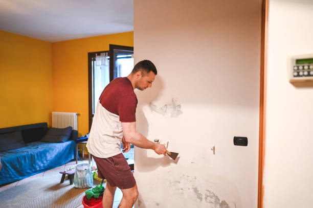 Mold Removal Process in Miami, OK