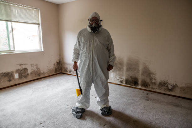 Best Emergency Mold Removal  in Miami, OK